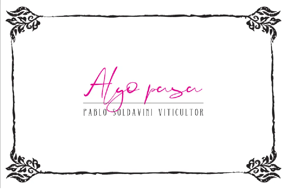 Algo Pasa 24 Botella 75CL