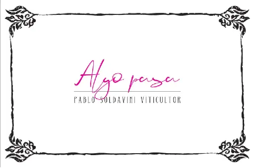 Algo Pasa 24 Botella 75CL